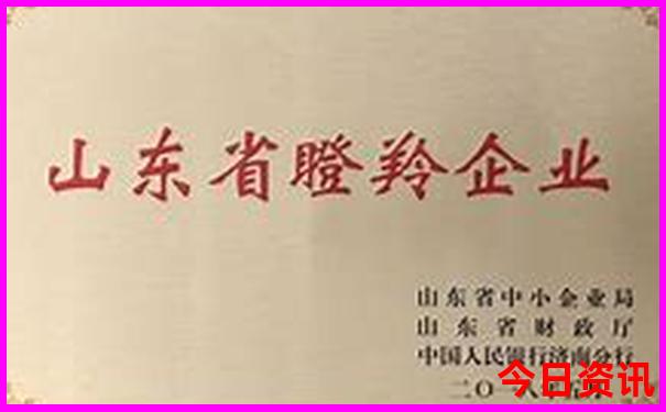 夏天适合去新疆旅游吗
